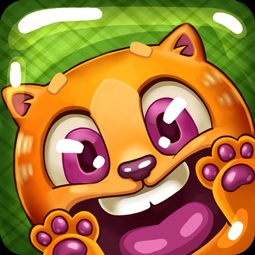 Ready Set Cat